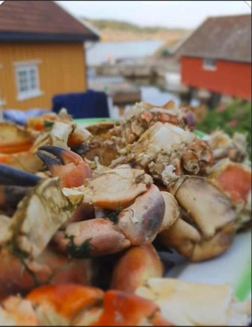 Lunvig - A Cosy Cottage In Idyllic Small Island Near Kristiansand, Sogne מראה חיצוני תמונה